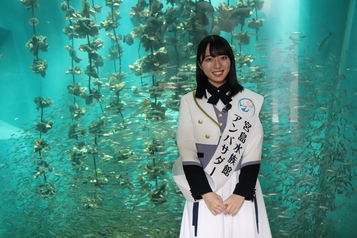 Stu48キャプテン今村美月 広島県の宮島水族館アンバサダーに就任 21年6月8日 エキサイトニュース
