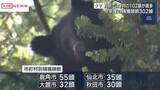 「秋田県内のクマ捕獲頭数　今年度は302頭　7月は最多の102頭　人身事故は7人に」の画像1