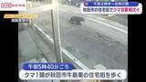 「秋田市の住宅街でクマの目撃相次ぐ　体長１ｍ　警察が注意を呼びかけ」の画像1