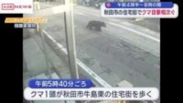 秋田市の住宅街でクマの目撃相次ぐ　体長１ｍ　警察が注意を呼びかけ