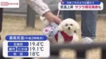 4月下旬の暖かさ　にかほ市の勢至公園はサクラ開花　/秋田