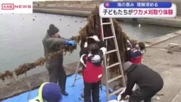 由利本荘市で子どもたちがワカメの収穫体験　新鮮ワカメのみそ汁振舞いも　/秋田