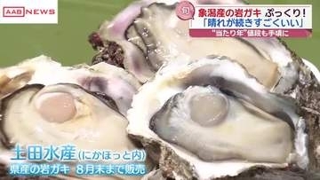 旬の味　秋田・象潟産の“岩ガキ”ぷっくりと！　晴れが続き量も質も抜群の「当たり年」