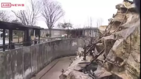 秋田市・大森山動物園の入園料値上げへ　条例改正案を市議会委員会で可決