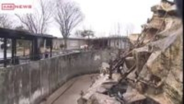 秋田市・大森山動物園の入園料値上げへ　条例改正案を市議会委員会で可決