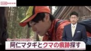 阿仁マタギと北秋田市の春山でクマの痕跡を探る　冬眠から覚め本格的な活動期に