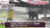 「住宅街に港にクマ出没　中学校近くにも…保護者の付き添い求めて生徒下校　秋田市」の画像1