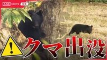 住宅街に港にクマ出没　中学校近くにも…校舎玄関付近で大きな音を流し寄せ付けない対策　秋田市
