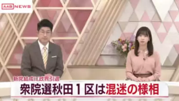 衆院選へ　秋田１区は混迷の様相　立候補予定者の動き加速