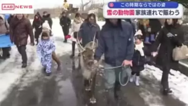 大森山動物園で雪の動物園始まる