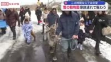 大森山動物園で雪の動物園始まる