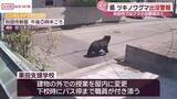 「秋田市の住宅街でクマの目撃情報複数寄せられる　周辺の学校では屋外活動取りやめ」の画像1