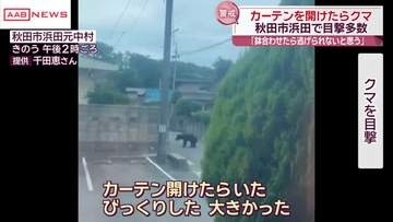 【クマ出没】カーテンを開けたら…家の前にクマが　秋田市浜田でクマ目撃相次ぐ　市が箱わなを設置
