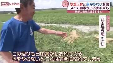 スイカ農家から不安の声…これから出荷本格化控え　気温上昇・少雨の影響を懸念　秋田・横手市雄物川町