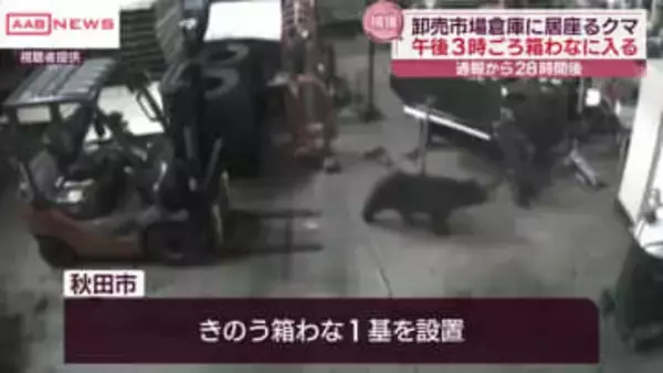秋田市の卸売市場に居座ったクマ　箱わなで捕獲