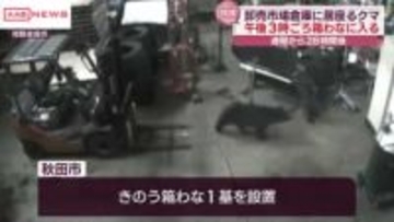 秋田市の卸売市場に居座ったクマ　箱わなで捕獲