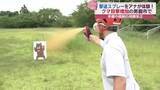 「クマの目撃件数増加　男鹿市でクマ撃退スプレーの使用方法学ぶ研修会　/秋田」の画像1