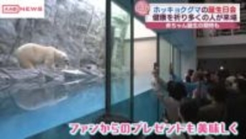 男鹿水族館ＧＡＯで人気者のホッキョクグマの誕生日会　秋田