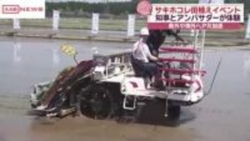 秋田のブランド米サキホコレの田植えイベント　鈴木知事も苗を植えてＰＲ　県外そして海外へ売り込みを