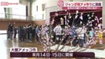 大館の小正月行事「アメッコ市」に向け児童がジャンボ枝アメづくり　/秋田