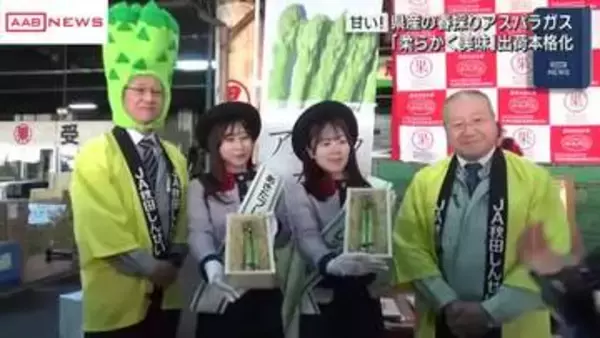 「甘い」春どりのアスパラガス出荷本格化　秋田市公設地方卸売市場で生産者がＰＲ