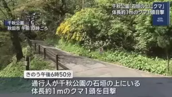 秋田市・千秋公園でクマ1頭目撃　公園の石垣の上に体長１ｍのクマが