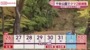 秋田市の千秋公園でクマ２頭捕獲　立ち入り規制8日目