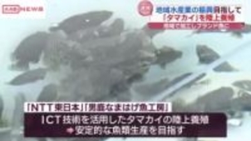陸上養殖で地域水産業の振興へ　地域で加工しブランド化目指す　/秋田・男鹿市