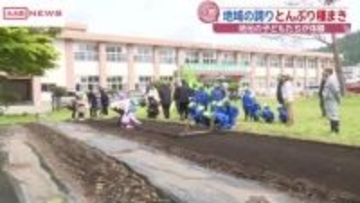 大館市の子どもたちが地元の特産品「とんぶり」の種まき　秋田