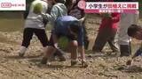 「石川理紀之助ゆかりの地で小学生が田植え　秋田・潟上市　自然と触れ合いながら環境について学ぶ」の画像1
