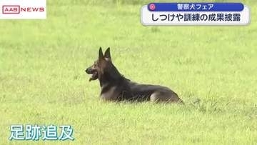 警察犬目指す犬などが日頃の訓練成果を披露　警察犬フェア　/秋田