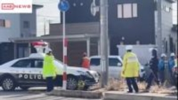 【速報】秋田・横手市平鹿町で小屋に居座っていたクマを捕獲