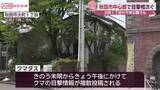 「秋田市の中心市街地でクマの目撃相次ぐ　付近の子ども園では徒歩での送迎控えるよう通知」の画像1