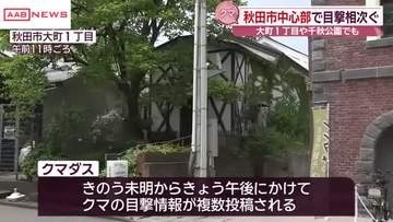 秋田市の中心市街地でクマの目撃相次ぐ　付近の子ども園では徒歩での送迎控えるよう通知