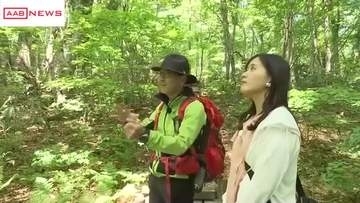 初夏の岳岱へ　白神山地で山と人とのかかわり学ぶ　/秋田・藤里町