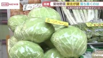 ハクサイやキャベツなど葉物野菜の高騰　秋田での販売価格は…