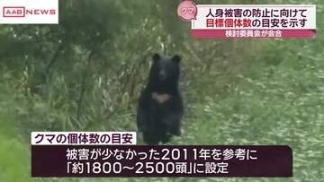 秋田県内のクマの目標個体数１８００頭から２５００頭に設定　被害防止へ　１年間で１０００頭捕獲目指す