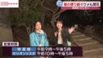 【中継】紅梅が６分咲き　秋田市・屋内緑地公園セリオンリスタから春の便り