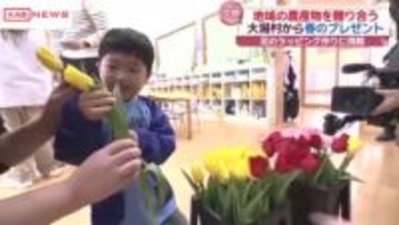 地域の農産物を贈り合って秋田を好きになろう　大潟村から子どもたちにチューリップを