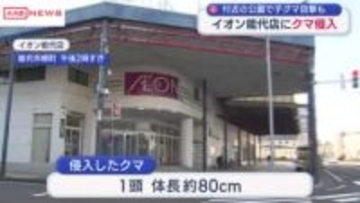 能代市の商業施設にクマ侵入　体長約80センチのクマ1頭店内で捕獲　けが人なし　/秋田