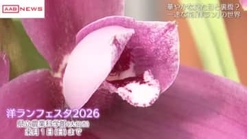春を感じさせる「洋ランフェスタ」　秋田県立農業科学館　ランの不思議にも触れる　来月１日まで開催