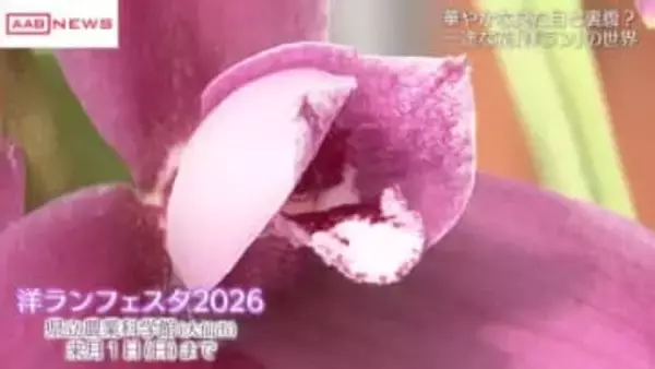 春を感じさせる「洋ランフェスタ」　秋田県立農業科学館　ランの不思議にも触れる　来月１日まで開催