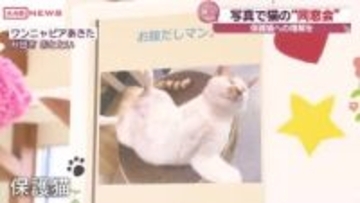 “保護猫”を新たな家族につなぐ取り組みに理解を　県動物愛護センター「ワンニャピアあきた」で写真展