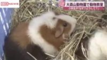 冬の動物園で動物教室開催　命を守る仕事の大切さ学ぶ　/秋田