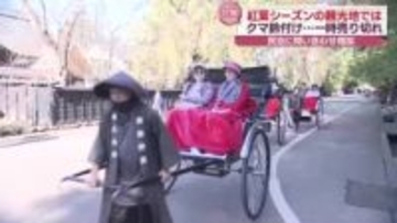 クマの影響が観光地にも…クマ鈴持って観光　一時売り切れも　秋田・仙北市