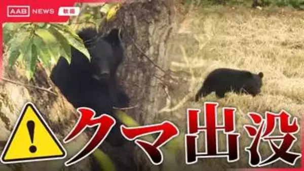 秋田・潟上市天王の県道脇で体長約１ｍのクマ目撃　警察などが注意呼びかけ