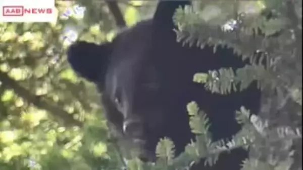 秋田市・大森山動物園の駐車場で職員がクマに襲われけが　飼育中のクマは確認　襲ったのは野生のクマか
