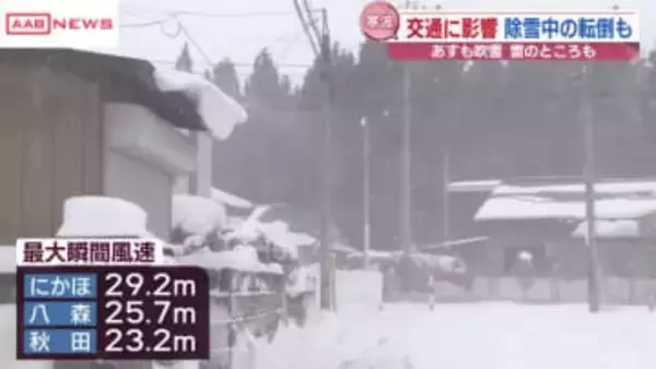 大雪・強風で交通機関に影響　ＪＲ奥羽線・羽越線・北上線に運休　凍結した路面で転倒けが人も