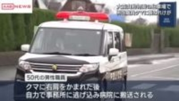 秋田市・大森山動物園の駐車場でクマに襲われた職員は自力で事務所まで逃げ救急搬送　右肩かまれけが