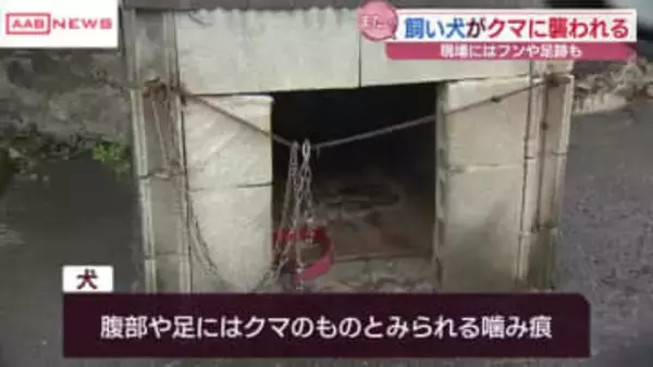 五城目町で飼い犬がクマに襲われる　　/秋田